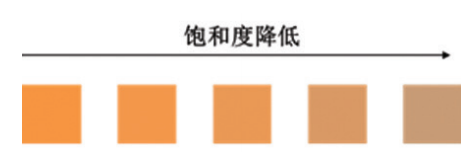 这样配色，再也不用担心PPT的“颜值”了！插图(5)