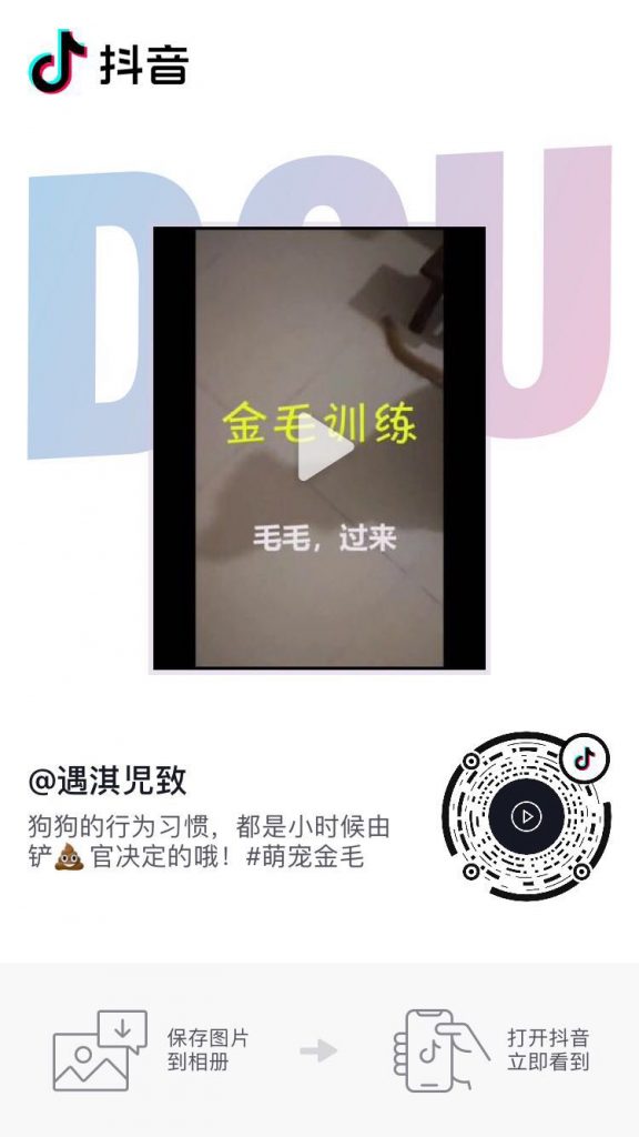 金牌训狗师手把手教你训狗视频教程，亲测有效——「epub」「mobi 」「azw3」「pdf」免费下载插图(2)